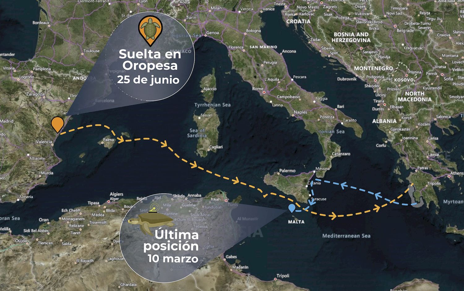 La imagen tiene un atributo ALT vacío; su nombre de archivo es colomera-2_opt.jpg