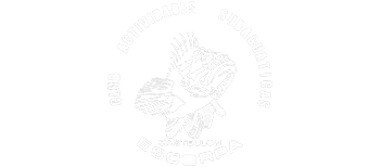 escorpa logo blanco