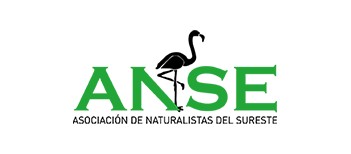 logo_Anse