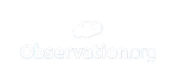 observation web