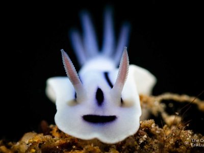 OceanImageBank_ErikLukas_web6