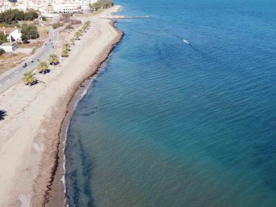 des algues de posidonie sur une plage qui protegent le sable des