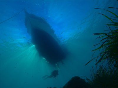 barco posidonia