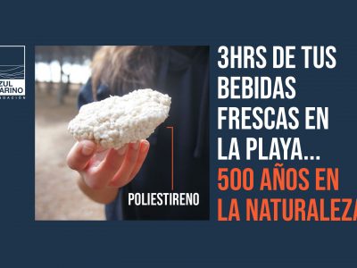 basura_fib_6