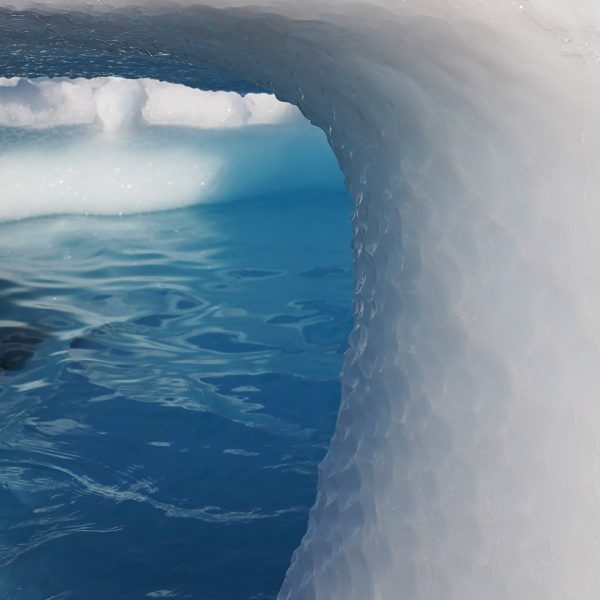 Antartida Azulmarinofundacion