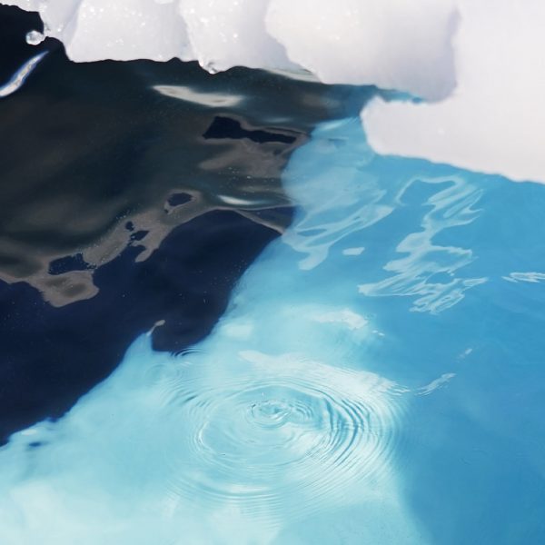 Antartida Azulmarinofundacion