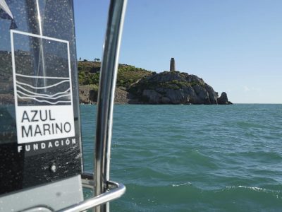 limpieza_submarina_la_renega_3