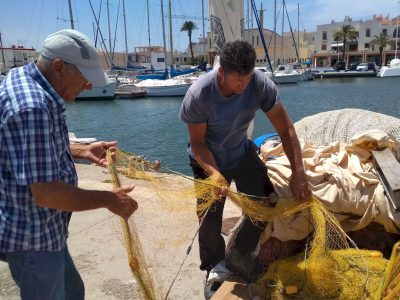 proyecto anse fundacion azul marino 2