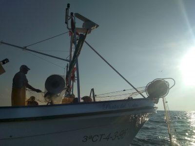 proyecto anse fundacion azul marino 3