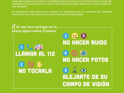 suelta4